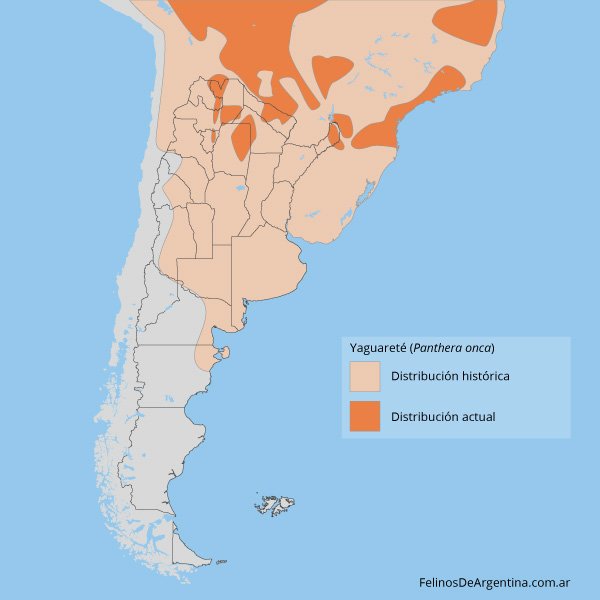 Yaguaretes en diferentes provincias argentinas