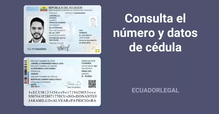 Cómo buscar un DNI de alguien: Guía completa y legal 4 Cómo buscar un DNI de alguien: Guía completa y legal