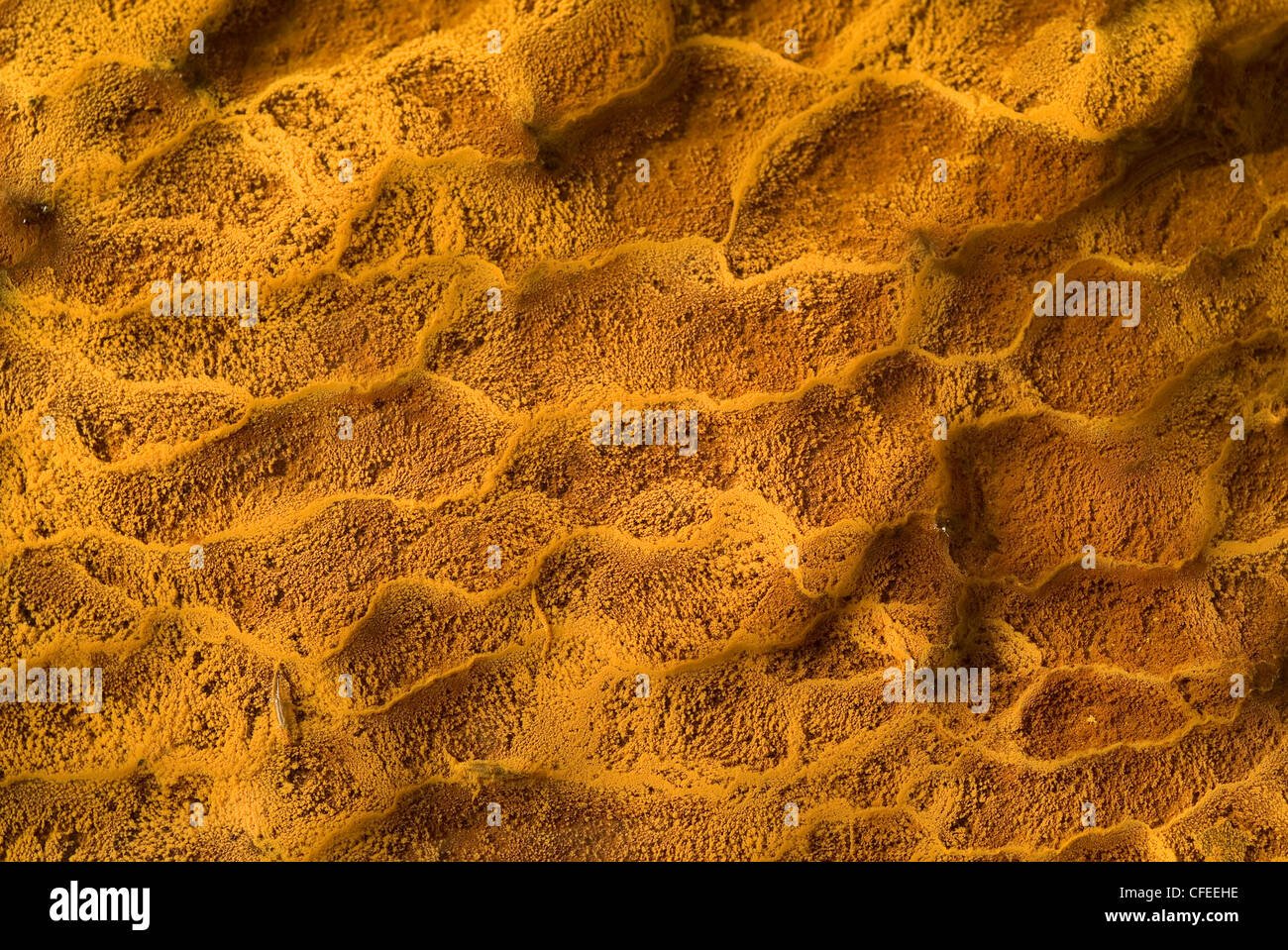 los sedimentos de las piedras en un estanque junto al rio sil galicia espana cfeehe