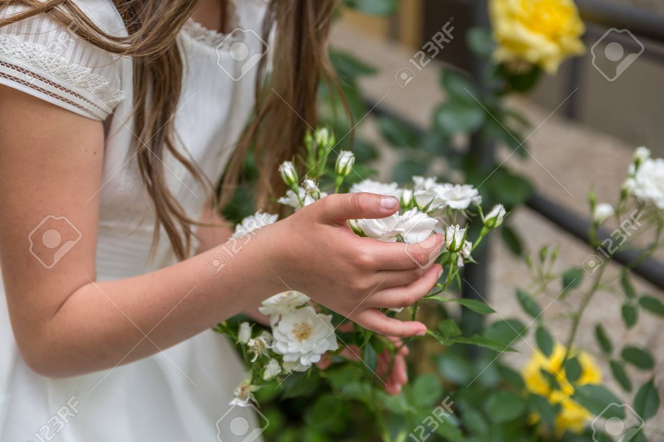 persona entregando una flor blanca