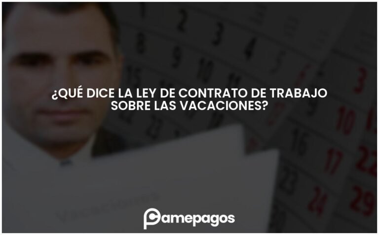 Qué dice la Ley 20744 sobre las vacaciones
