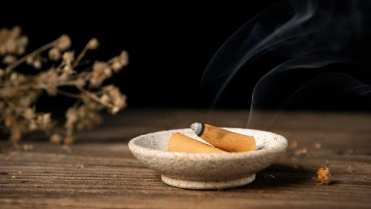 que hace cada sahumerio descubriendo sus secretos y propiedades